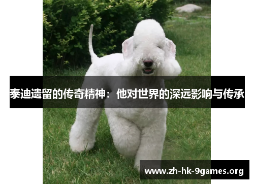 泰迪遗留的传奇精神:他对世界的深远影响与传承 泰迪遗留的传奇精神:他对世界的深远影响与传承
